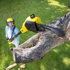 Best Utility Line Clearance  in Stratford, CA
